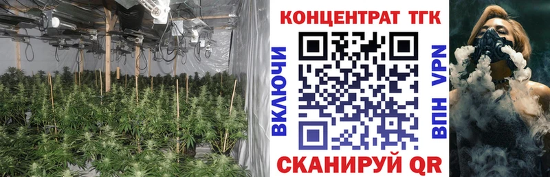 kraken сайт  Новокубанск  ТГК жижа 