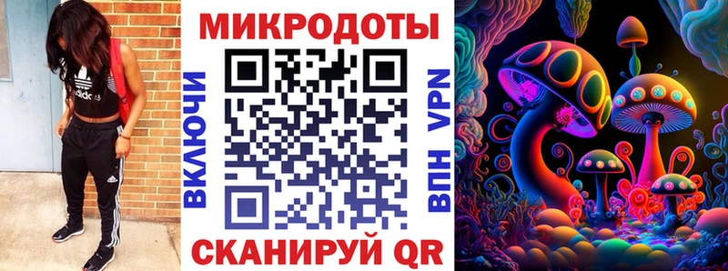 Галлюциногенные грибы прущие грибы Новокубанск